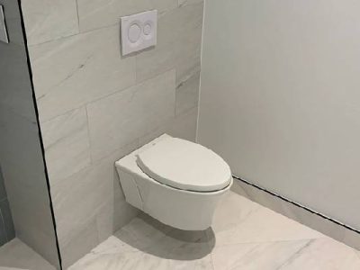 Toilet Fixture Installation Services